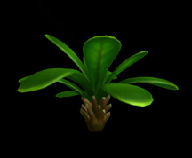 Wildstar Housing - Succulent Palm (Sparse)
