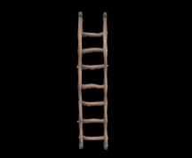 Wildstar Housing - Ladder