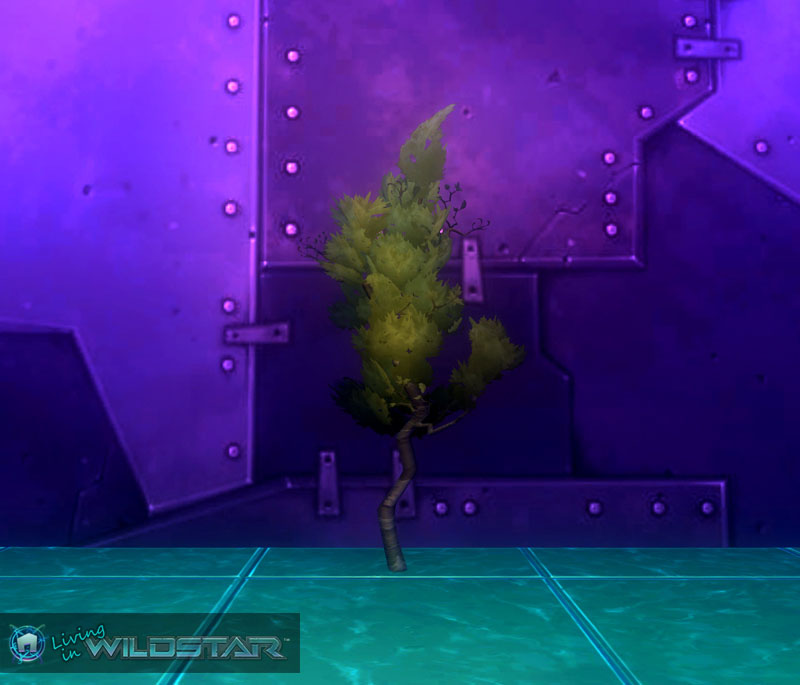 Wildstar Housing - Ginkgo Tree (Bent)
